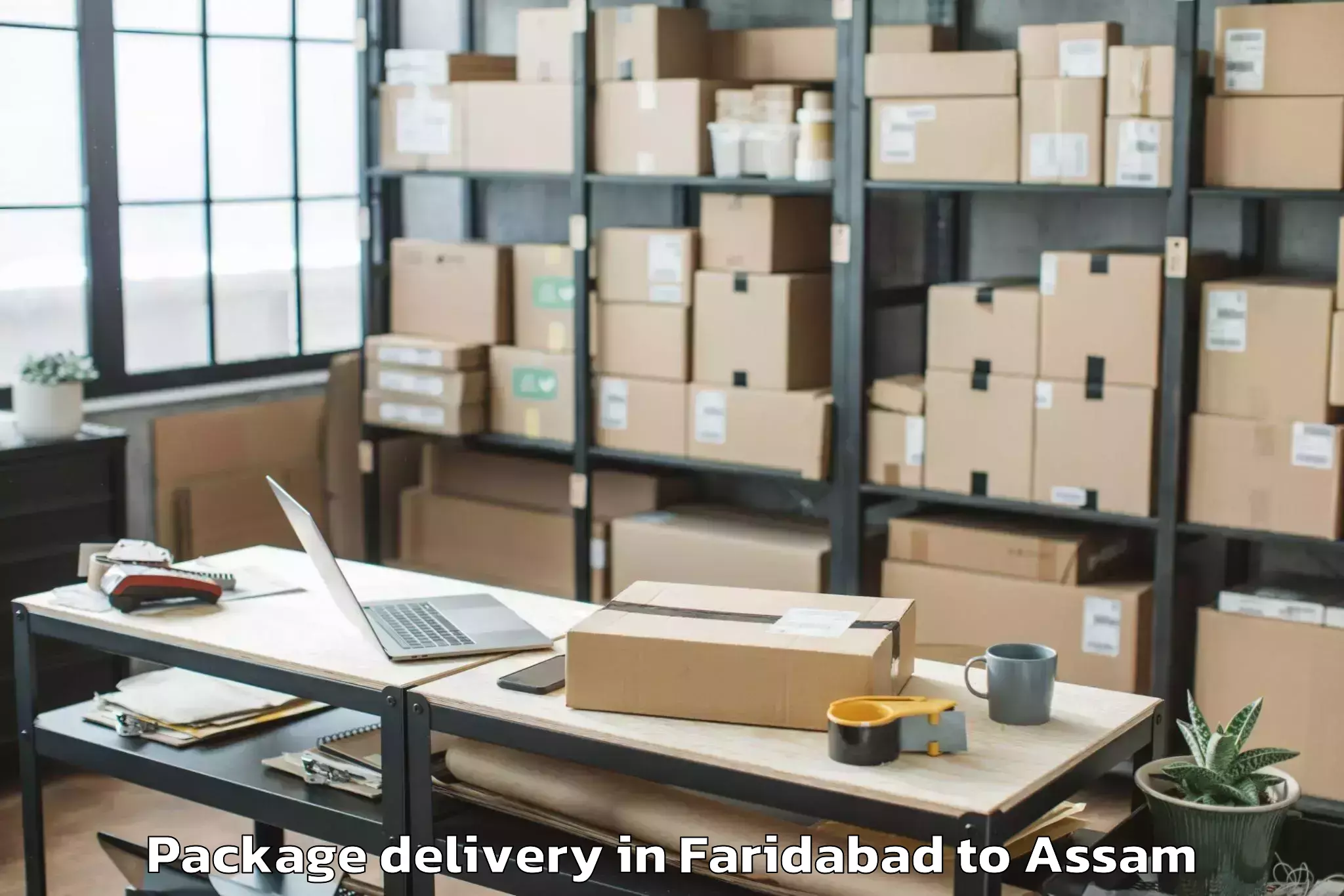 Trusted Faridabad to Tezpur University Tezpur Package Delivery